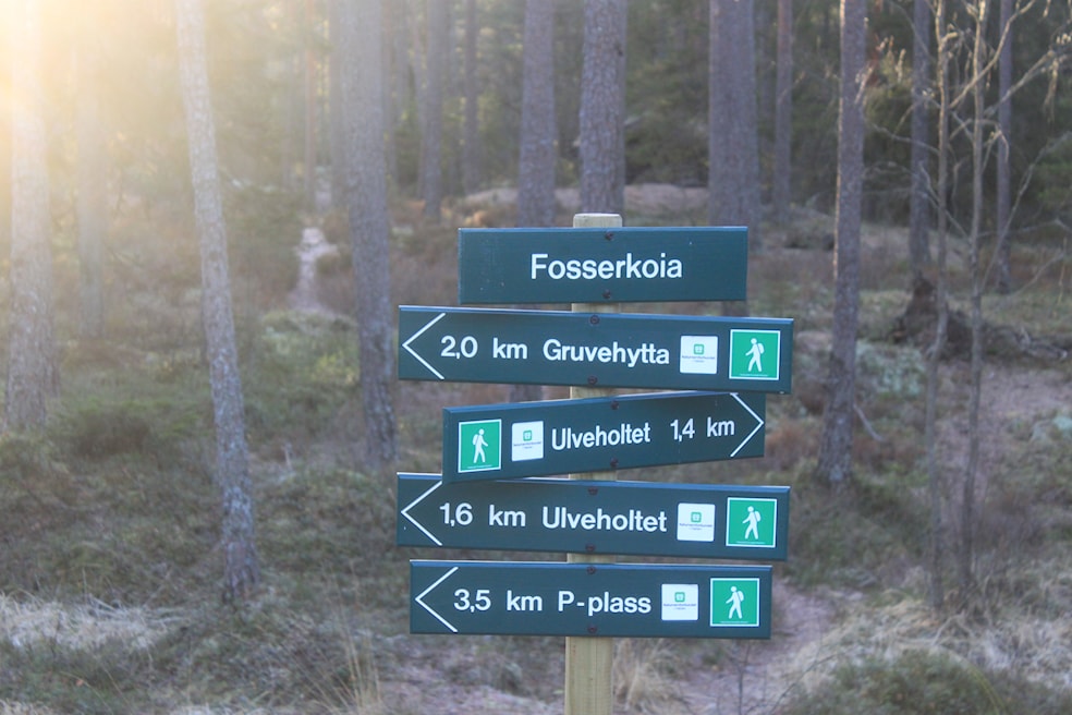 Fellestur